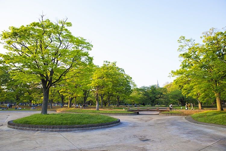 pic_location_05.jpg